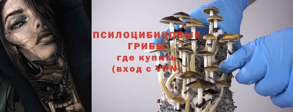 героин Ельня