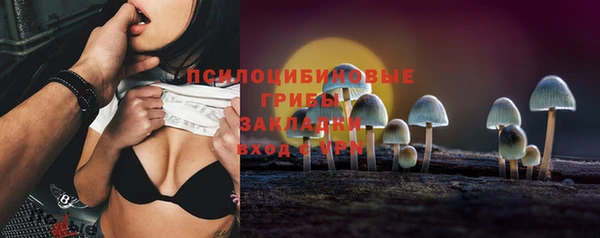 PSILOCYBIN Алексин