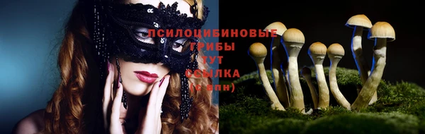 мяу мяу мука Абаза