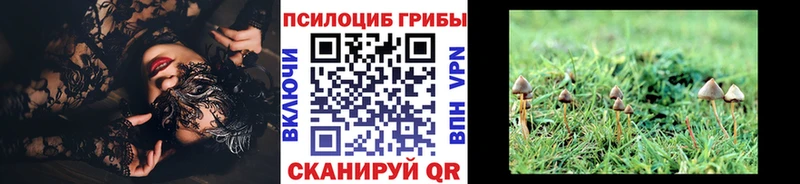 купить наркотики сайты  Монино  Псилоцибиновые грибы GOLDEN TEACHER 